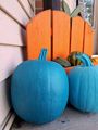 Teal pumpkin.jpg