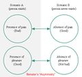 Benatarasymmetry1.jpg